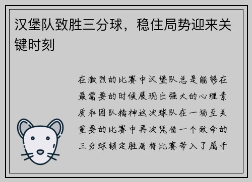 汉堡队致胜三分球，稳住局势迎来关键时刻